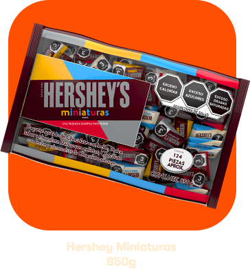 Hershey Miniaturas 850g